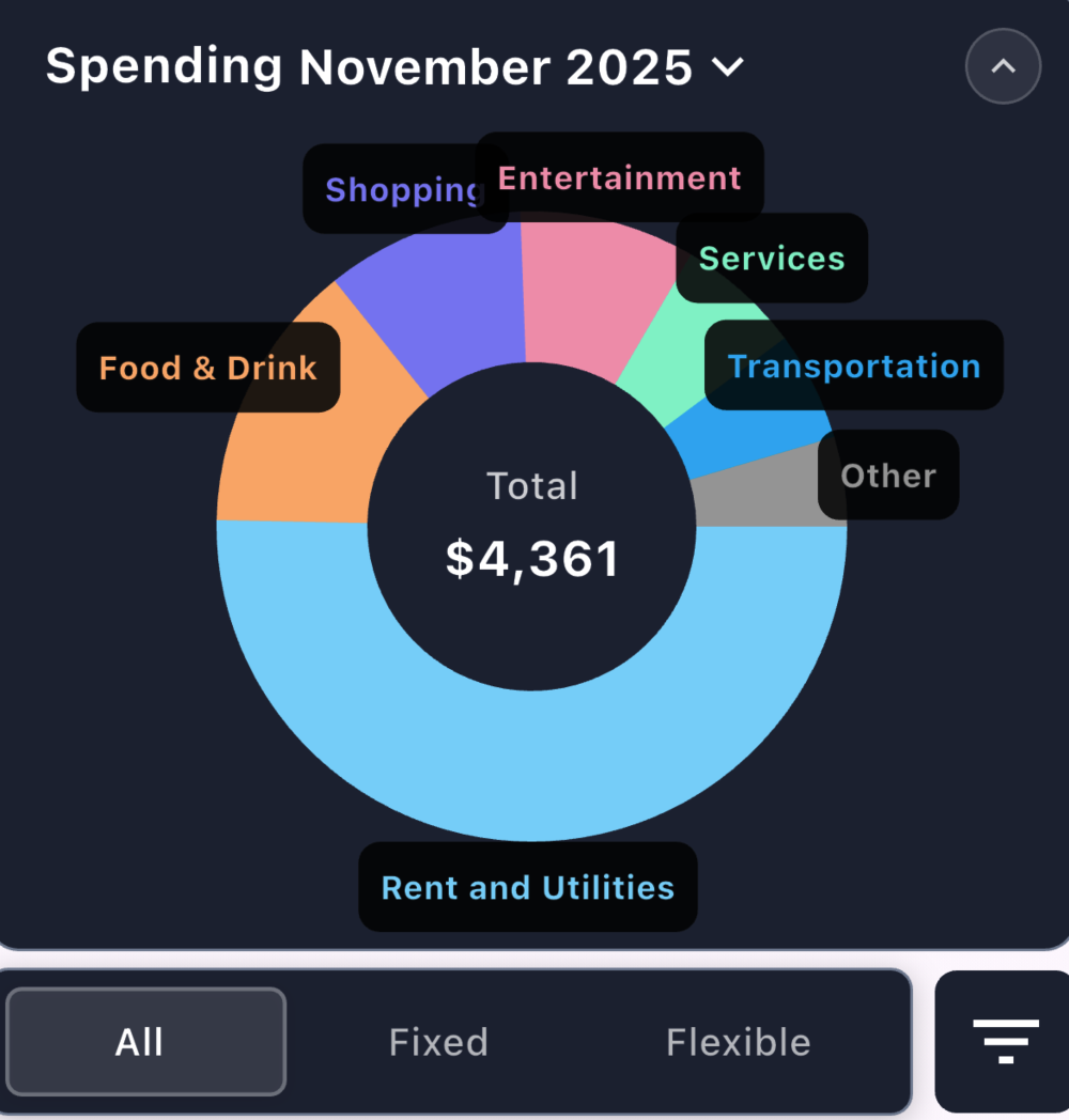Financial Insights - Category Breakdown